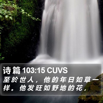 诗 篇 103:15 CUVS Bible Verse Image