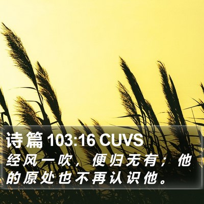 诗 篇 103:16 CUVS Bible Verse Image