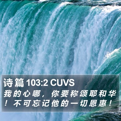 诗 篇 103:2 CUVS Bible Verse Image