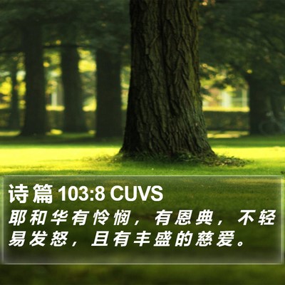 诗 篇 103:8 CUVS Bible Verse Image