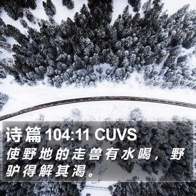 诗 篇 104:11 CUVS Bible Verse Image