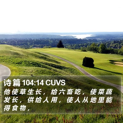 诗 篇 104:14 CUVS Bible Verse Image