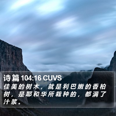 诗 篇 104:16 CUVS Bible Verse Image