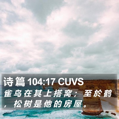 诗 篇 104:17 CUVS Bible Verse Image