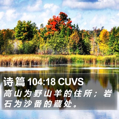 诗 篇 104:18 CUVS Bible Verse Image