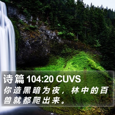 诗 篇 104:20 CUVS Bible Verse Image