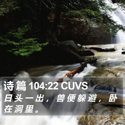 诗 篇 104:22 CUVS Bible Verse Image