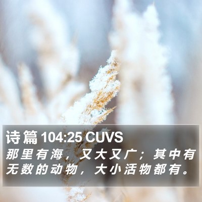 诗 篇 104:25 CUVS Bible Verse Image