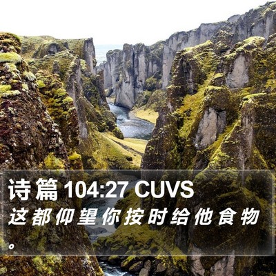 诗 篇 104:27 CUVS Bible Verse Image