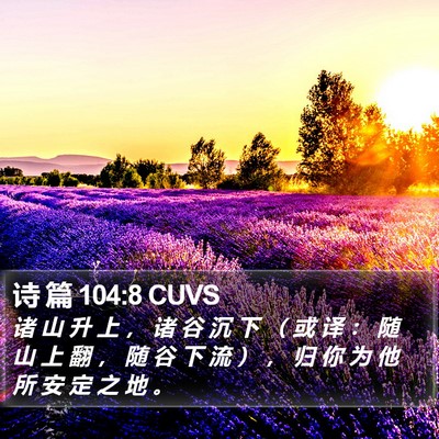 诗 篇 104:8 CUVS Bible Verse Image