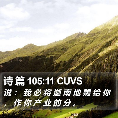 诗 篇 105:11 CUVS Bible Verse Image