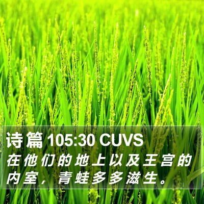 诗 篇 105:30 CUVS Bible Verse Image