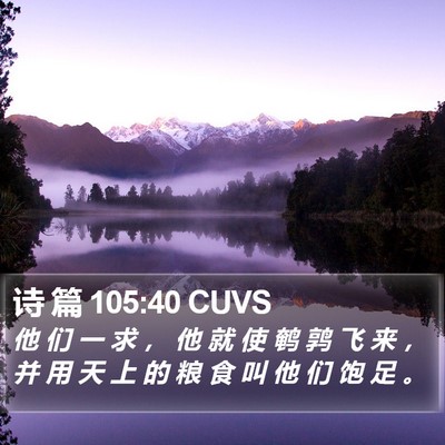 诗 篇 105:40 CUVS Bible Verse Image