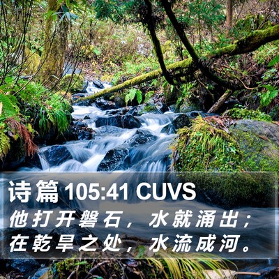 诗 篇 105:41 CUVS Bible Verse Image