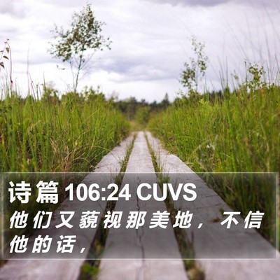 诗 篇 106:24 CUVS Bible Verse Image