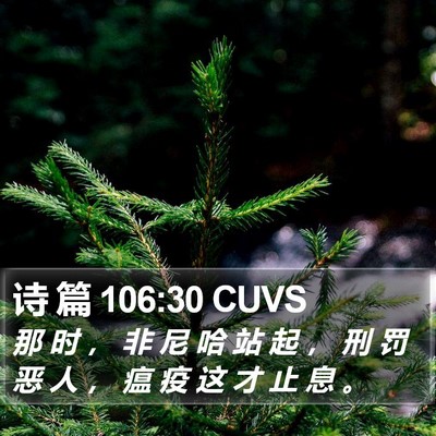 诗 篇 106:30 CUVS Bible Verse Image