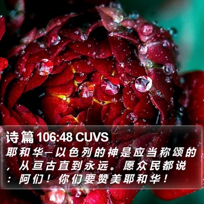 诗 篇 106:48 CUVS Bible Verse Image