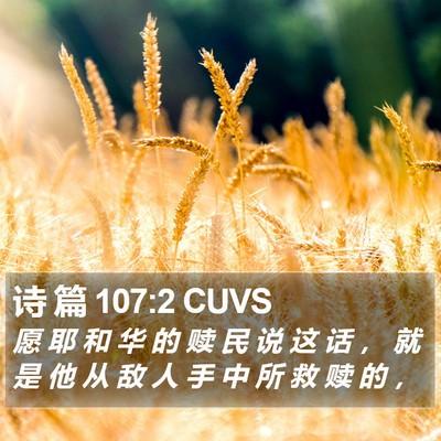 诗 篇 107:2 CUVS Bible Verse Image