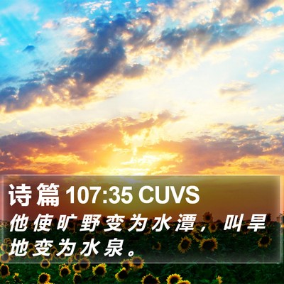 诗 篇 107:35 CUVS Bible Verse Image