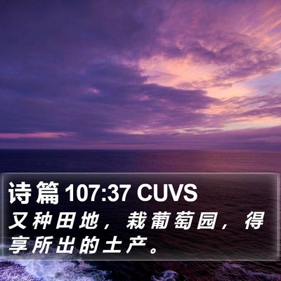 诗 篇 107:37 CUVS Bible Verse Image