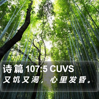诗 篇 107:5 CUVS Bible Verse Image