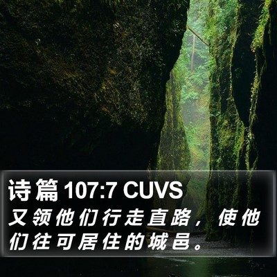 诗 篇 107:7 CUVS Bible Verse Image