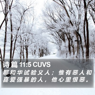 诗 篇 11:5 CUVS Bible Verse Image