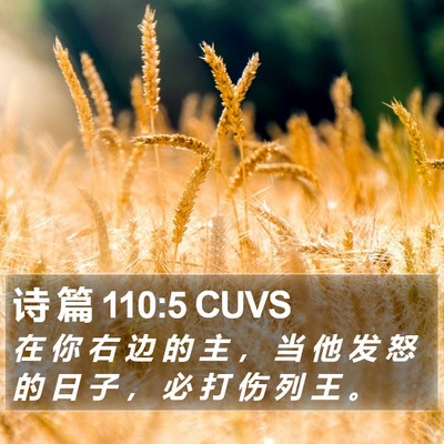 诗 篇 110:5 CUVS Bible Verse Image