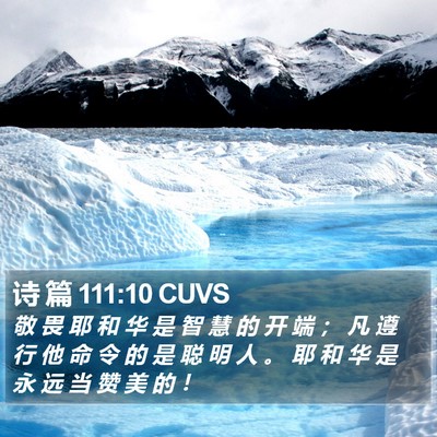 诗 篇 111:10 CUVS Bible Verse Image