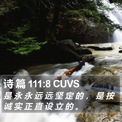 诗 篇 111:8 CUVS Bible Verse Image