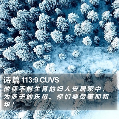 诗 篇 113:9 CUVS Bible Verse Image