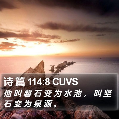 诗 篇 114:8 CUVS Bible Verse Image