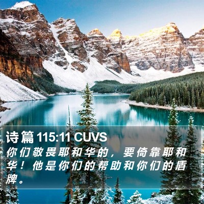 诗 篇 115:11 CUVS Bible Verse Image