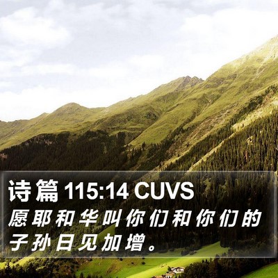 诗 篇 115:14 CUVS Bible Verse Image