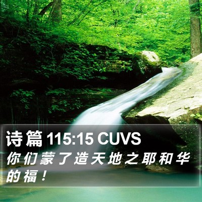 诗 篇 115:15 CUVS Bible Verse Image