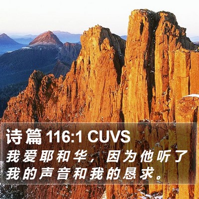 诗 篇 116:1 CUVS Bible Verse Image