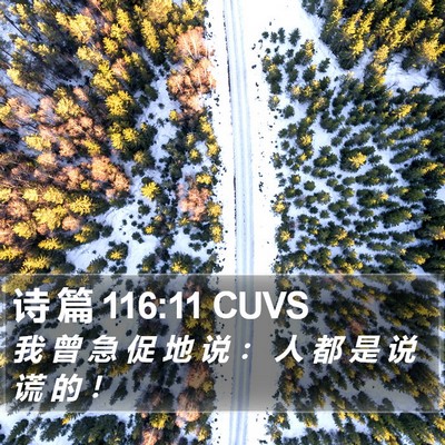 诗 篇 116:11 CUVS Bible Verse Image