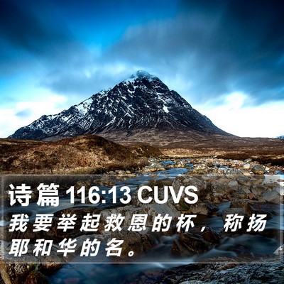 诗 篇 116:13 CUVS Bible Verse Image