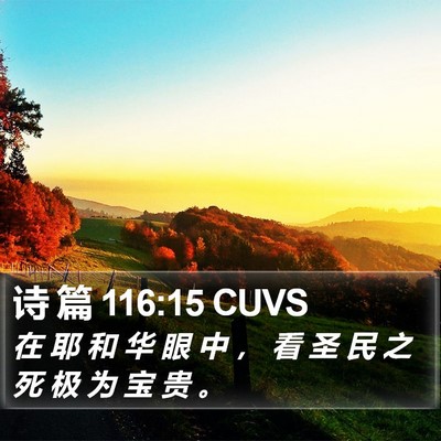 诗 篇 116:15 CUVS Bible Verse Image