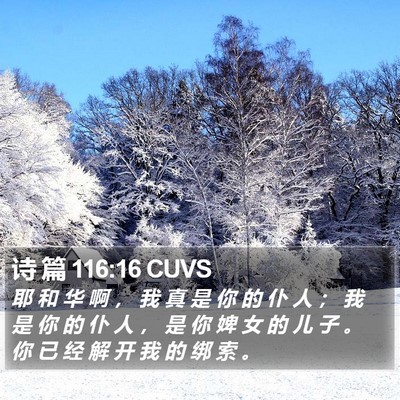 诗 篇 116:16 CUVS Bible Verse Image