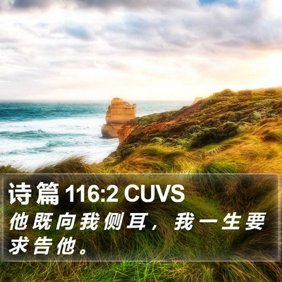 诗 篇 116:2 CUVS Bible Verse Image