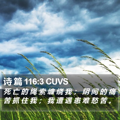 诗 篇 116:3 CUVS Bible Verse Image