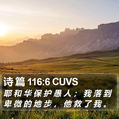 诗 篇 116:6 CUVS Bible Verse Image