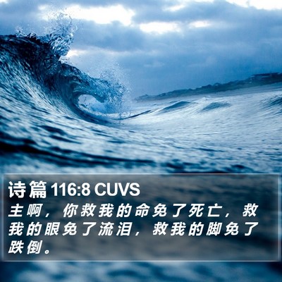 诗 篇 116:8 CUVS Bible Verse Image
