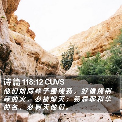 诗 篇 118:12 CUVS Bible Verse Image