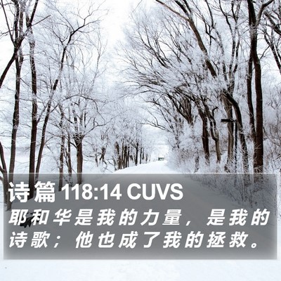 诗 篇 118:14 CUVS Bible Verse Image