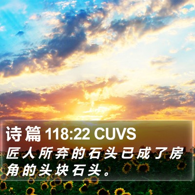 诗 篇 118:22 CUVS Bible Verse Image