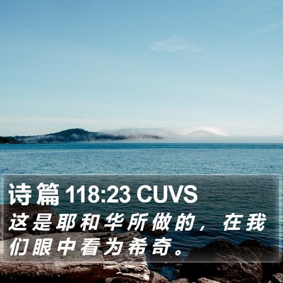 诗 篇 118:23 CUVS Bible Verse Image