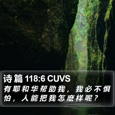 诗 篇 118:6 CUVS Bible Verse Image