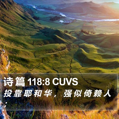诗 篇 118:8 CUVS Bible Verse Image